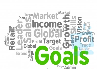 PS Professional - Goals