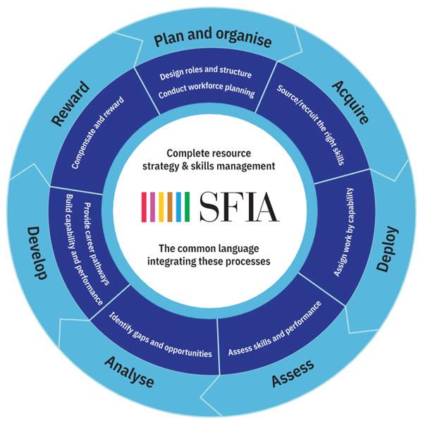 SFIA process wheel