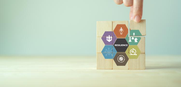 what is operational resilience?